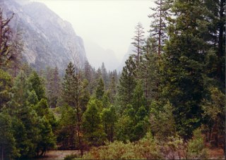 End of the road ... California