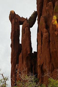 Rock formation at The Garden Of The Gods, CO